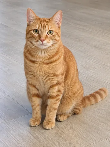 Original pet photo 1