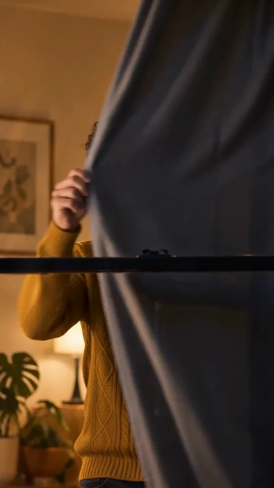 Line 4: curtain (8–10 s), frame at 8.0 s of the original